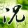 原版皇后大学学位证【degxx.com】